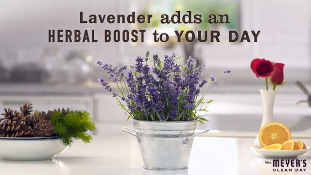 CeraVe AM Facial Moisturizing Lotion /Amazon Beauty Products смотреть онлайн