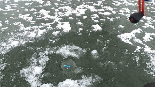 Тестирую зимний спиннинг Lucky John C-Tech щучками. Посылка из Rybalkashop