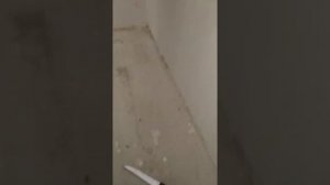 КАМИН НЕ ВКЛЮЧАЕТСЯ , реальная проблема!