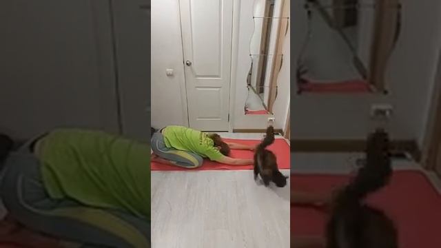 Утренняя растяжка - Скрипникова Валерия смотреть онлайн