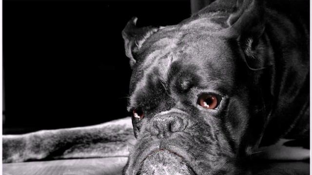 Иосиф Бродский-Без названия смотреть онлайн