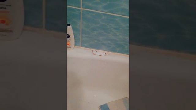 Ремонт сколов в ванной смотреть онлайн