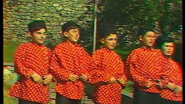 ზაქარია ფალიაშვილის სახელობის ნიჭიერტა ათწლედის ბიჭუნათა გუნდი "ნუკრი" смотреть онлайн