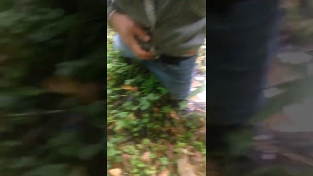 Зыбучие пески в лесах Подмосковья смотреть онлайн