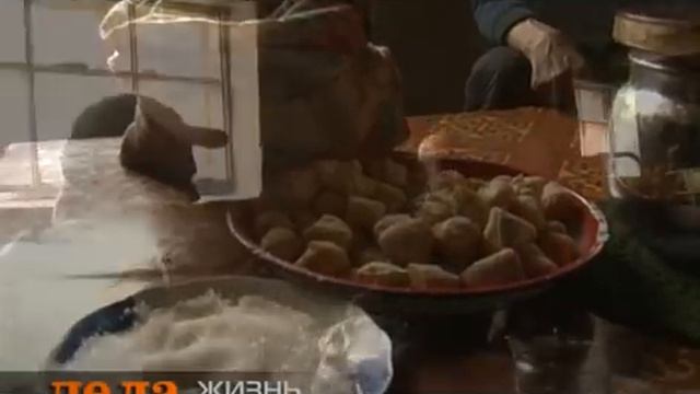Видео-сюжет об экспедициях Николая Зимина смотреть онлайн