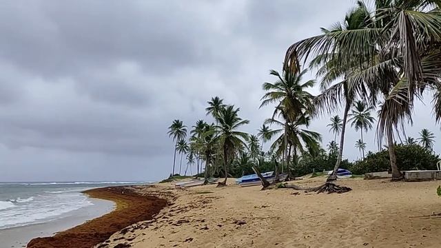 Неизведанная Доминикана. 2021. Пляж Ла Вакама. Исцеляющая музыка. Шум волн и океана. Звуки природы смотреть онлайн