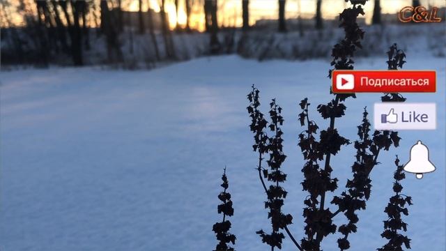 Наступление вечера возле железнодорожной станции смотреть онлайн