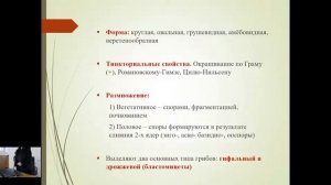 Микоплазьы. Микроскопические грибы