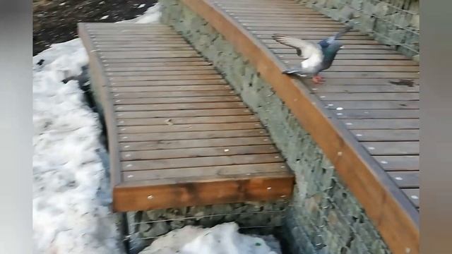 Весна! /Бунинская аллея... Бульвар Дмитрия Донского смотреть онлайн