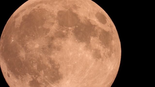 Nikon Coolpix P1000 As Requested The Pink Full Moon in 4K ! смотреть онлайн