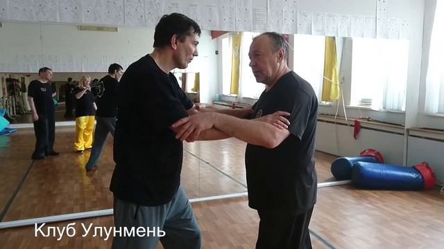 Практика туй-шоу в тайцзи-цюань. Техника - сотрудничество. 2018 смотреть онлайн
