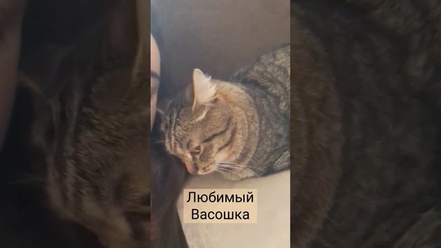 С Васо целуемся ??.mp4
