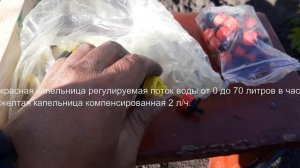 Капельный полив винограда