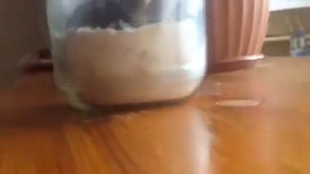 Джунгарский хомяк не хочет купатся🐹🐹🐹🐹 смотреть онлайн