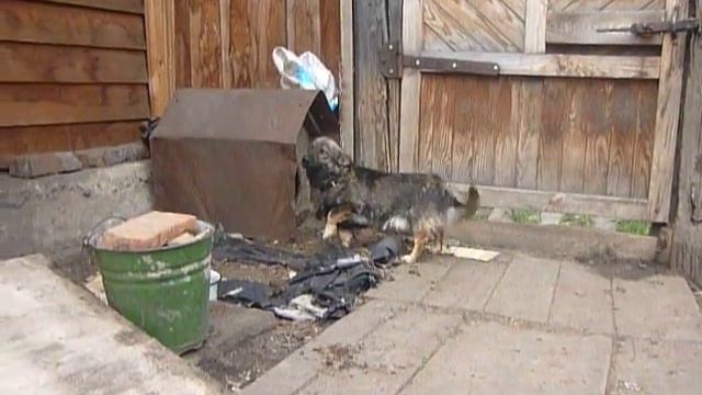 Буржуй улыбнись))) смотреть онлайн