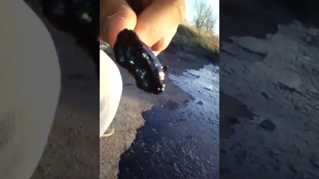Нашли нефть!!!! смотреть онлайн