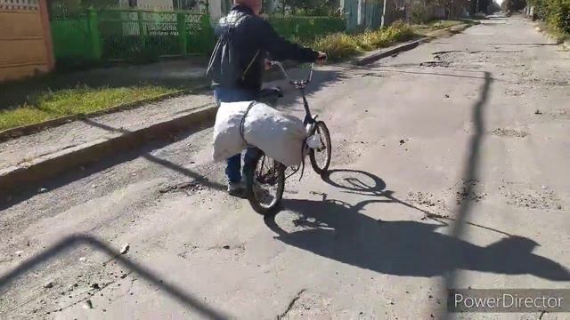Сколько можно заработать на грецком орехе ? смотреть онлайн