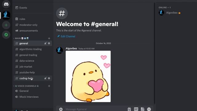 ALGOVIBES DISCORD SERVER ANNOUNCEMENT - you have waited too long! смотреть онлайн