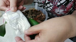 Полив. Лечим орхидею. Топсин-М.