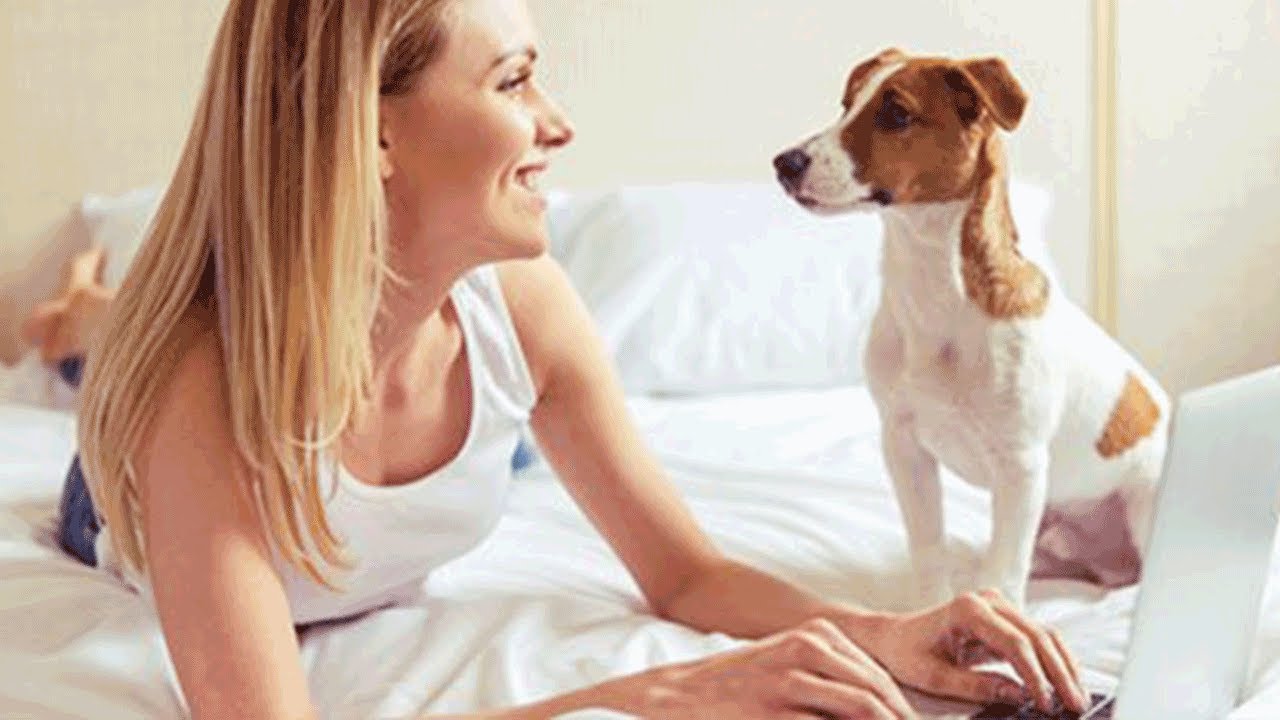 Одно Утро Из Жизни Девушки С Собакой!.mp4 смотреть онлайн