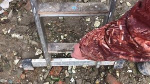 Модернизация лестницы трансформер