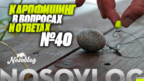 Карпфишинг в вопросах и ответах #40, Артём Колесников смотреть онлайн