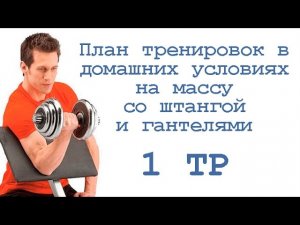 План тренировок в домашних условиях на массу со штангой и гантелями (1 тр)