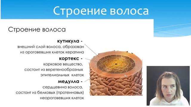 Урок 8. Как работает краска и как красит хна? Строение кожи и волоса. смотреть онлайн
