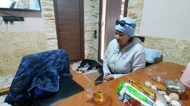 Гости в приюте для собак. Боре жену отвезла. смотреть онлайн