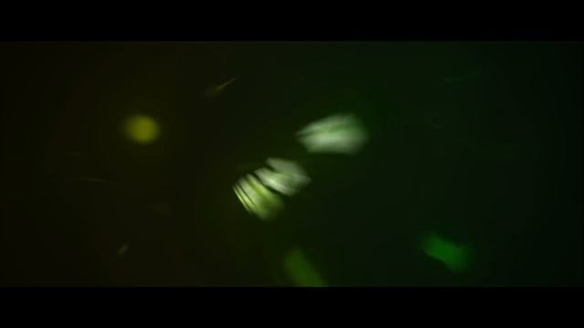Braz's FanIntro | France A. ft.Sapphire [C4D] | Bad AE ik. смотреть онлайн
