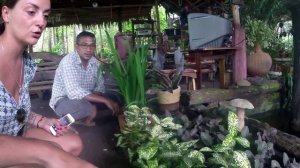 Цветочные магазины на Пхукете. Садоводство. Смотреть до конца.