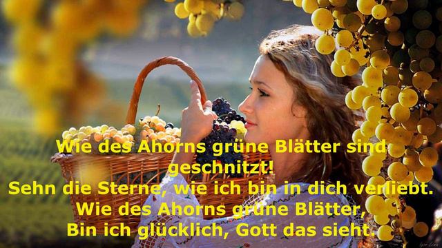 Смуглянка на немецком языке. Перевод на немецкий язык Николая Хмеленка смотреть онлайн