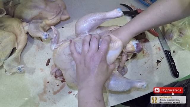 Забой бройлеров в домашних условиях видео Потрошение курицы видео - zolotyeruki смотреть онлайн