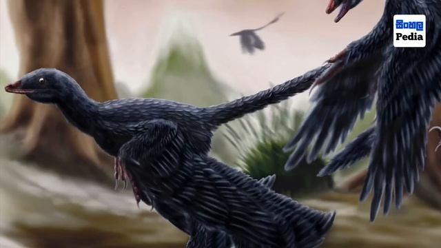 ඩයිනෝසරයින් කුරුල්ලන් වුනේ මෙන්න මෙහෙමයි | How Dinosaurs Are Related to Modern Birds смотреть онлайн