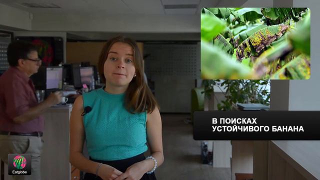 Бананы на грани исчезновения смотреть онлайн