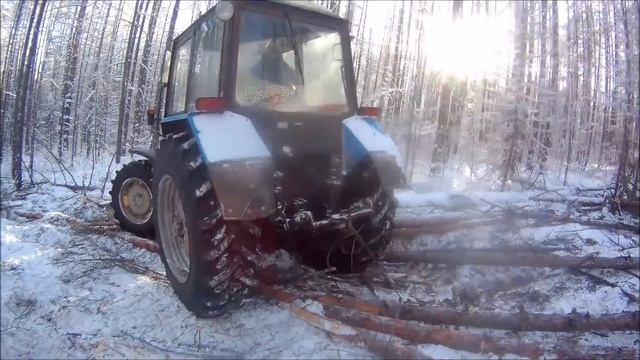 МТЗ 892 и МТЗ 82.1 снова на деляне готовим лес, МТЗ 892 буксует смотреть онлайн