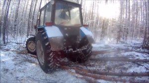 МТЗ 892 и МТЗ 82.1 снова на деляне готовим лес, МТЗ 892 буксует