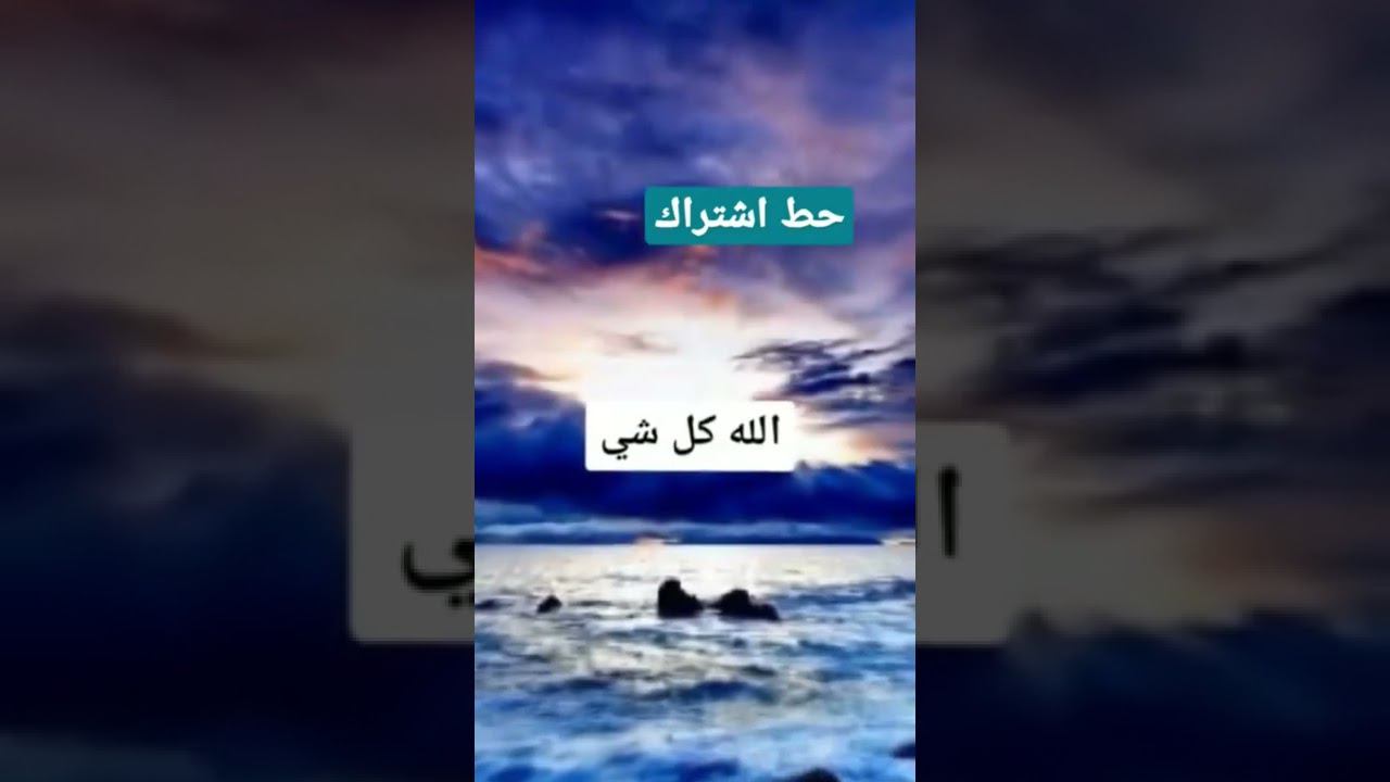 samer elmedany | سامر المدني تيك توك اغنية جديدة tiktok #shorts смотреть онлайн