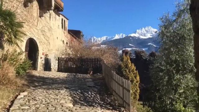 The Nature Of Merano. Italy. Christmas. 2019-2020.Природа Мерано.Италия