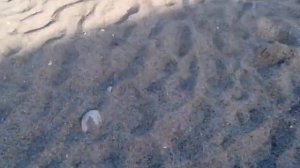 Отель ТРАНСАТЛАНТИК. ПЛЯЖ И МОРЕ. Плюсы и минусы./ Hotel Transatlantic. Beach and sea.