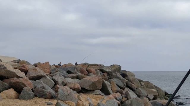 Морская рыбалка. Ловля камбалы с берега. Камбала калкан. Catching flounders from the shore. смотреть онлайн