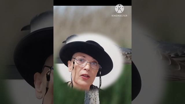 Анна Ахматова- Я спросила у кукушки... стихотворение смотреть онлайн