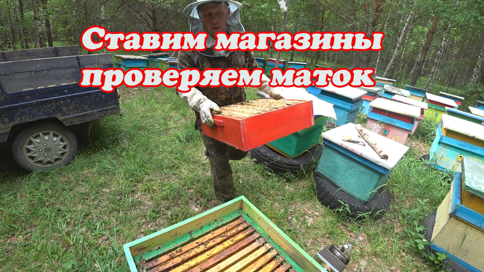 КОГДА СТАВИМ МАГАЗИННЫЕ НАДСТАВКИ ПОД МЁД, РЕЗУЛЬТАТ ПРИЁМА МАТОК. смотреть онлайн