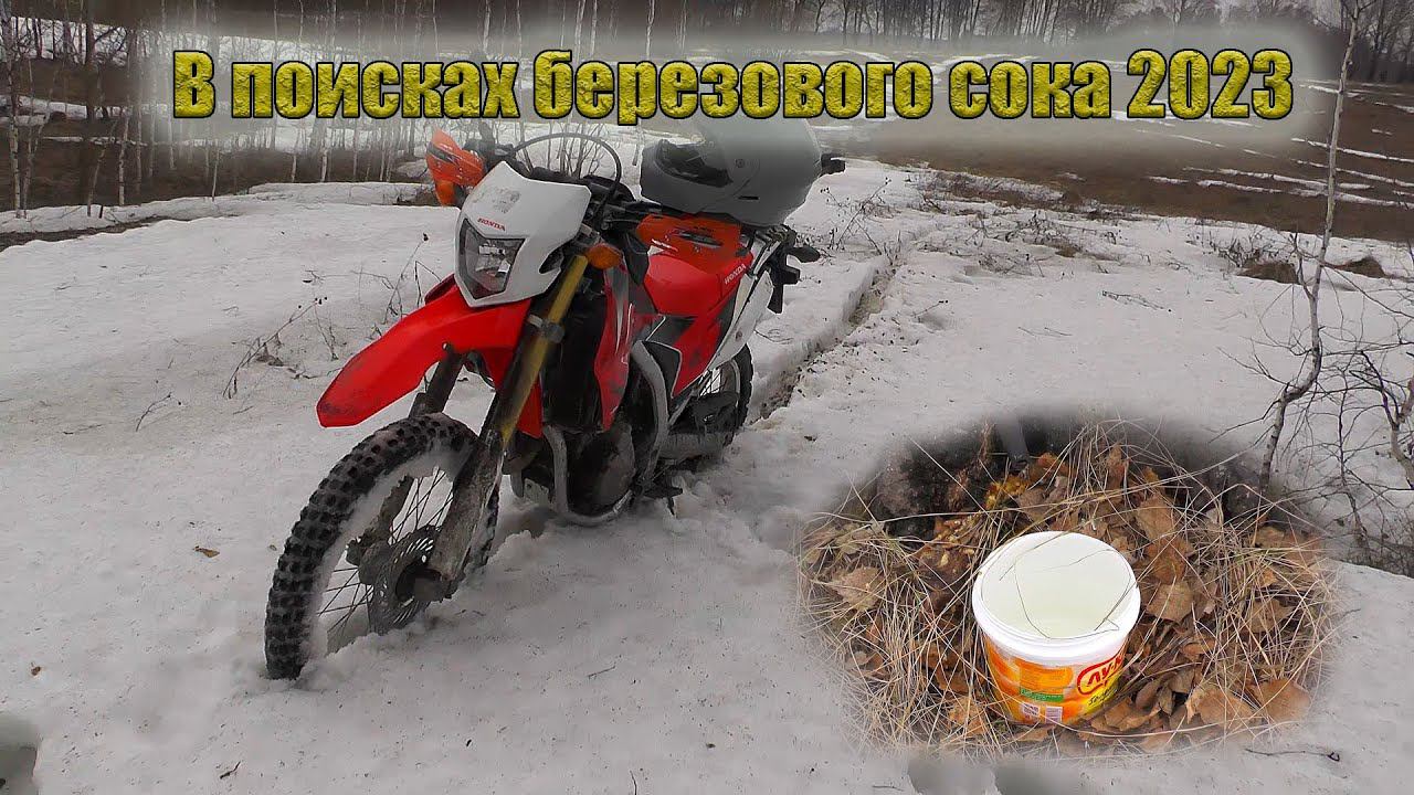 В поисках березового сока 2023 на Honda CRF250L