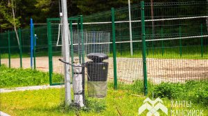 В Ханты-Мансийске тестируют ловушку для комаров и мошек