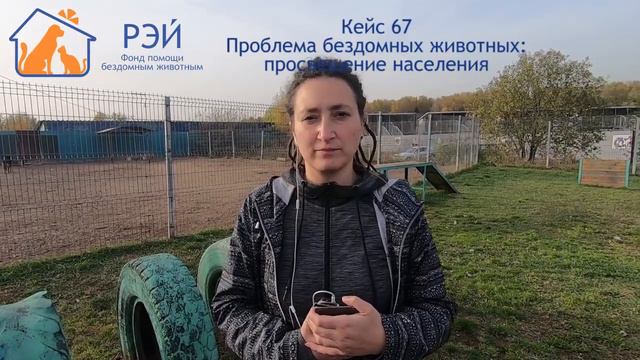 Кейс № 67. Бл. фонд помощи бездомным животным "Рэй". Проблема бездомных животных смотреть онлайн