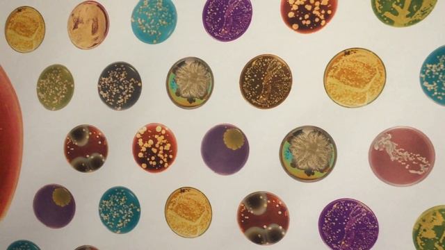 Mostly Microbe - American Museum of Natural History смотреть онлайн