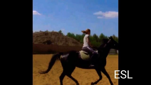 Скажи зачем~ Конный спорт смотреть онлайн