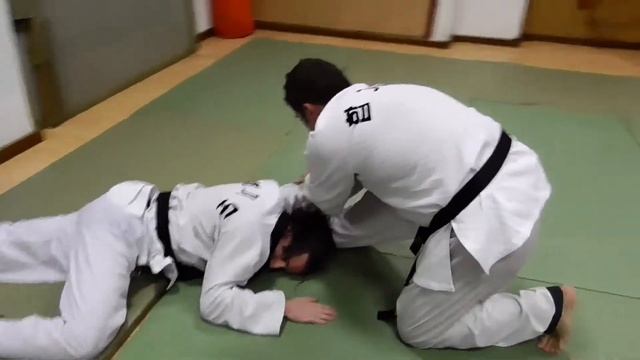 Korea Hapkido Federation en ALICANTE. Maestro JESÚS JIMÉNEZ смотреть онлайн