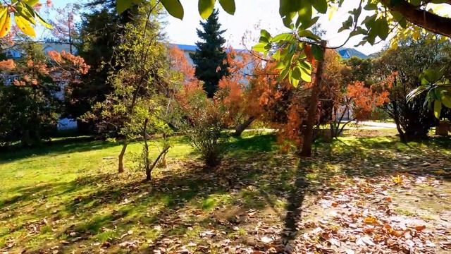 Там где лето и осень рябом! Парк! ?ЛАЗАРЕВСКОЕ СЕГОДНЯ ?СОЧИ. смотреть онлайн